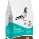 Internutri_Pigeons_3D