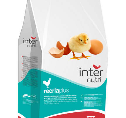Internutri_Seeds_RecriaPlus_3D