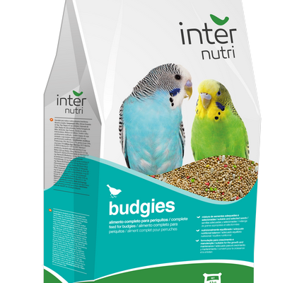 Internutri_Birds_budgies_3D