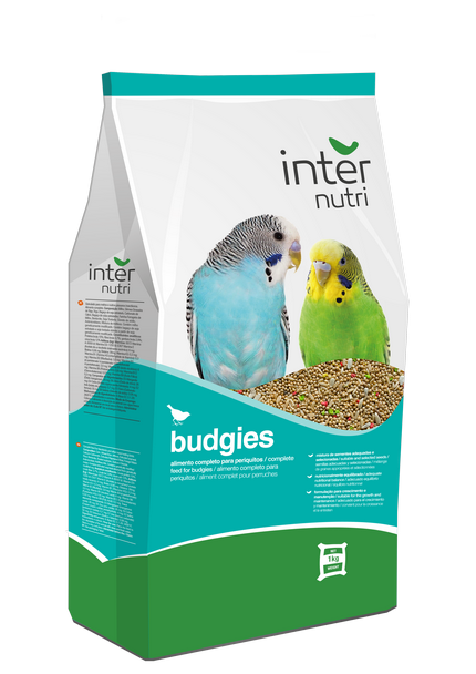 Internutri | BUDGIES