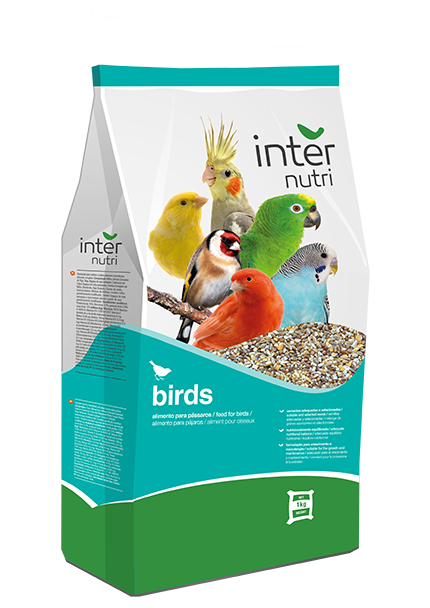 Internutri_Birds_doves_3D