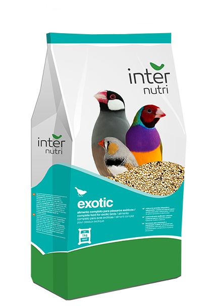 Internutri_Birds_exotic_3D