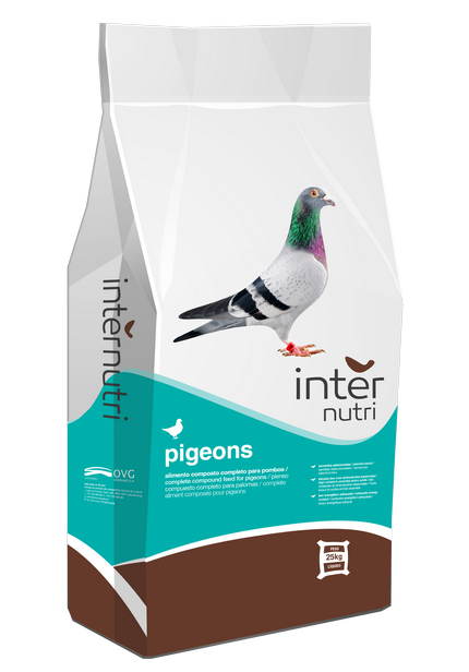 Internutri_Pigeons_3D