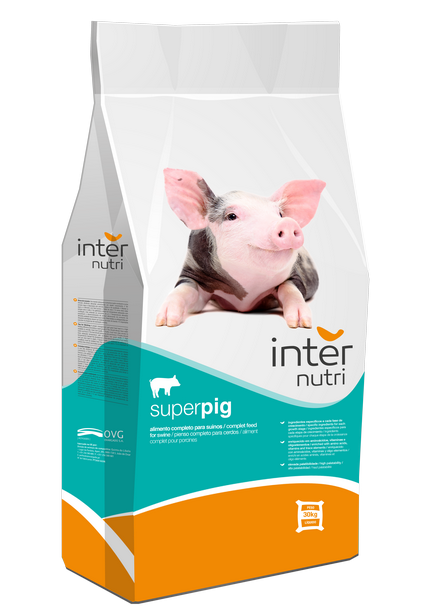 Internutri_Seeds_Pig_3D