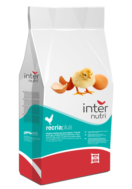 Internutri_Seeds_RecriaPlus_3D