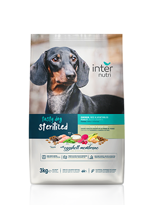 PAG INTERMEDIA_emb peq_Tasty dog sterilized